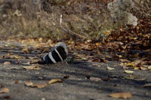 Ситуація на Донбасі: бойовики один раз обстріляли українські позиції