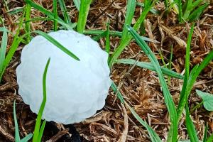 В Австралії випав гігантський град діаметром 16 см