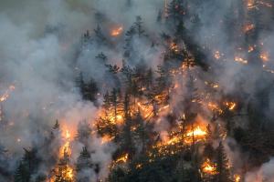 В австрійських Альпах вирує одна з найпотужніших пожеж