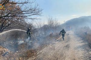 Під Сєвєродонецьком сталася масштабна пожежа: горіла суха трава