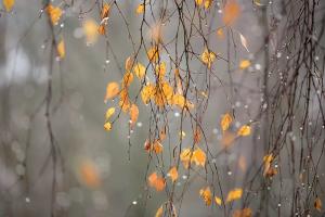 Синоптики прогнозують на Луганщині дощі, але буде тепло