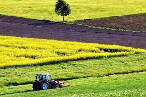 В Украине продали уже около 120 тысяч га земли: в каких областях покупают охотнее