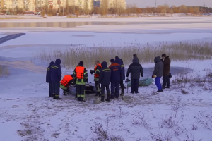 Лебеді на Чистому озері в Сєвєродонецьку опинилися в крижаній пастці: рятувальники знайшли вирішення проблеми (відео)