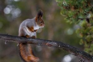 На вихідних в Україні запанує весняна погода, але не у всіх регіонах