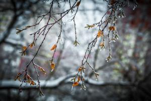 Україну накриє атмосферний фронт: синоптик розповіла, які регіони потраплять під "роздачу"