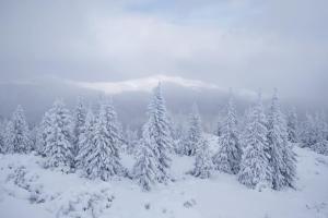 Карпаты засыпает снегом: туристов предупредили о возможных сходах лавин