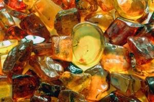 У Рівненській області виявили найбільший камінь бурштину за всю історію (фото)