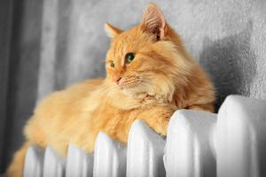 Чи вистачить Україні вугілля та газу для проходження опалювального сезону?: Відповідь Шмигаля