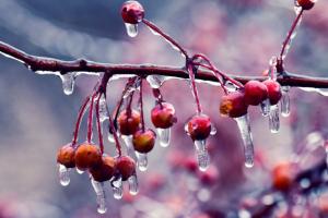 На Луганщину йде різке потепління: ближче до Нового року піде дощ