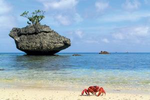 Острів Різдва першим зустрів новий 2022 рік