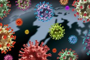 Штамм "Омикрон" выявили уже в 89 странах мира, - ВОЗ