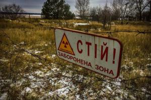 В Чернобыльской зоне засняли "шалости" редкого хищника (видео)