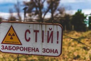 В Чернобыльской зоне камеры засекли маленького ночного "гостя" (фото)