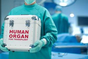 Парламент ухвалив закон, який врегулює трансплантацію органів в Україні