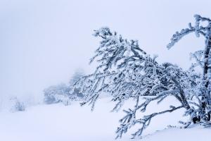 Україну накриють атмосферні фронти: синоптик попередила про ураганний вітер та опади