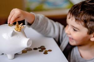 Парламентський комітет підтримав запровадження економічного паспорта українця