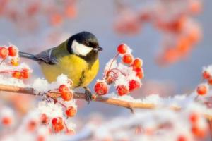 Луганщину накроет очередная волна потепления: "плюсы" возможны даже ночью