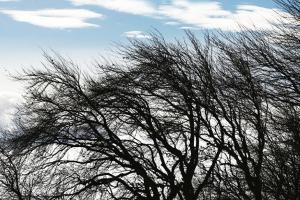 Ураганний вітер накриє Луганщину: оголошено I рівень небезпеки