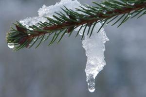 В Україну йде потепління: в яких регіонах запанує весна вже на вихідних