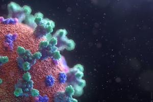 В Україні виявили новий варіант штаму COVID-19 "Омікрон"