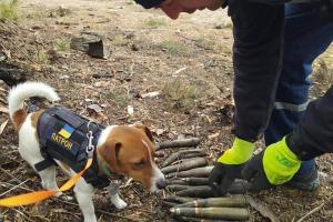 ДСНС України запустила інтерактивну карту замінованих та небезпечних ділянок