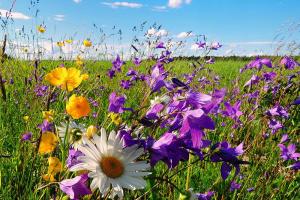 Яким буде липень 2022 року: прогноз синоптиків