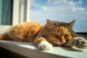 Найближчими днями Україну накриє пекельна спека: прогноз синоптика