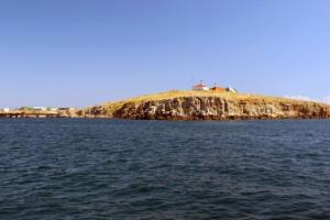 ЗСУ мають намір відновити присутність на Зміїному, - Генштаб