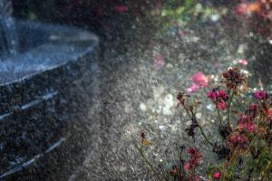 Атмосферний фронт принесе до України дощі з грозами: де чекати на опади