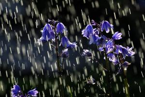 Україну накриють дощі з грозами, градом та сильним вітром