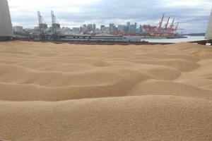 Україна продовжить підготовку до експорту зерна морем, - Кубраков