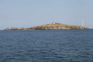 На Зміїному РФ втратила техніки майже на мільярд доларів, - підрахунки Forbes