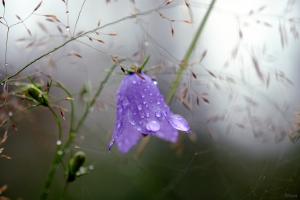 В Україну прийде похолодання: де чекати на дощі з грозами