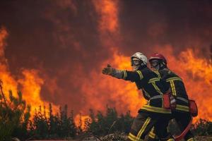 Францию охватили пожары и засуха из-за аномальной жары