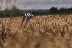 Война в Украине: оперативная информация по состоянию на вечер 10 августа