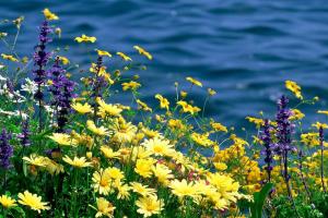 Синоптик розповіла, якою буде погода в Україні у суботу