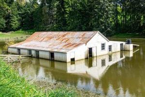 В Новой Зеландии - потоп: десятки домов под водой, люди эвакуируются
