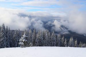 В українських Карпатах лютує зима, намело до 80 см снігу
