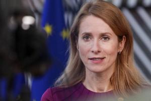 Эстония не будет предоставлять убежище гражданам РФ, которые убегают от мобилизации