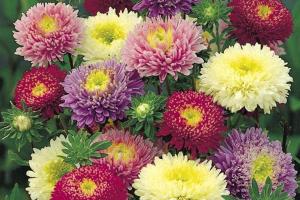 В Україну прийшло відчутне похолодання: очікується до +6 градусів