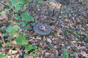 У Житомирській області на міні підірвалося авто лісової охорони, загинув єгер