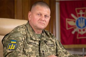 "Мы уничтожим всех, кто с оружием придет на нашу землю": Залужный о мобилизации в РФ