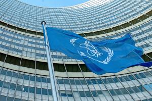 В МАГАТЭ потребовали от РФ разъяснений относительно задержания гендиректора ЗАЭС