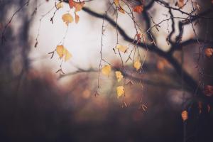 Синоптик рассказала, когда в Украину придет первое серьезное похолодание