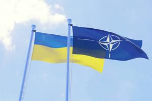 До конца года Украина подпишет ряд деклараций о вступлении в НАТО
