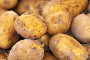 В Украине резко изменилась цена на картофель