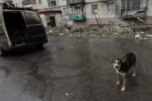 "Зате скільки нових багатих людей стало": відео зі зруйнованого Сєвєродонецька