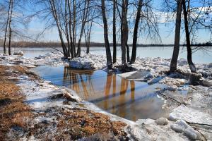 До +14 градусов: в Украину идет резкое потепление