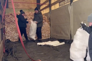 Жителям освобожденного Невского доставлен гуманитарный груз (видео)