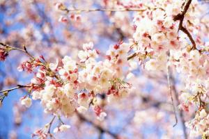 Когда в Украину придет существенное потепление: прогноз синоптика